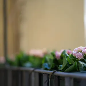 Appartement Pgrhome Croce Rome