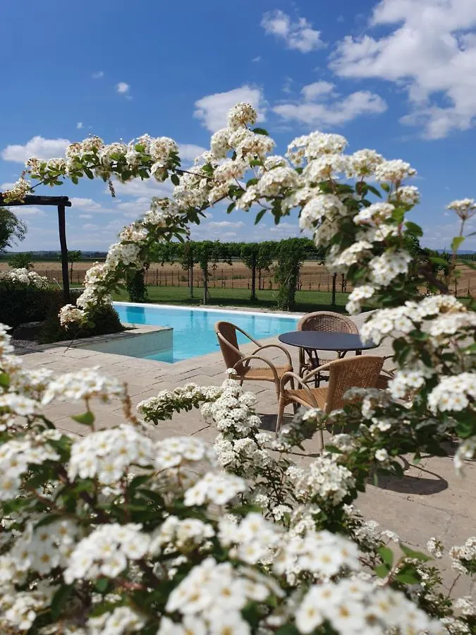 Hotel Cortona Resort-Le Terre Dei Cavalieri